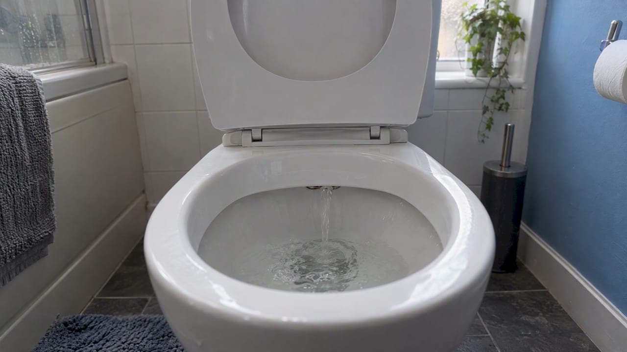 Toilet Flush Failing? UK Homeowners Should Try One Test First